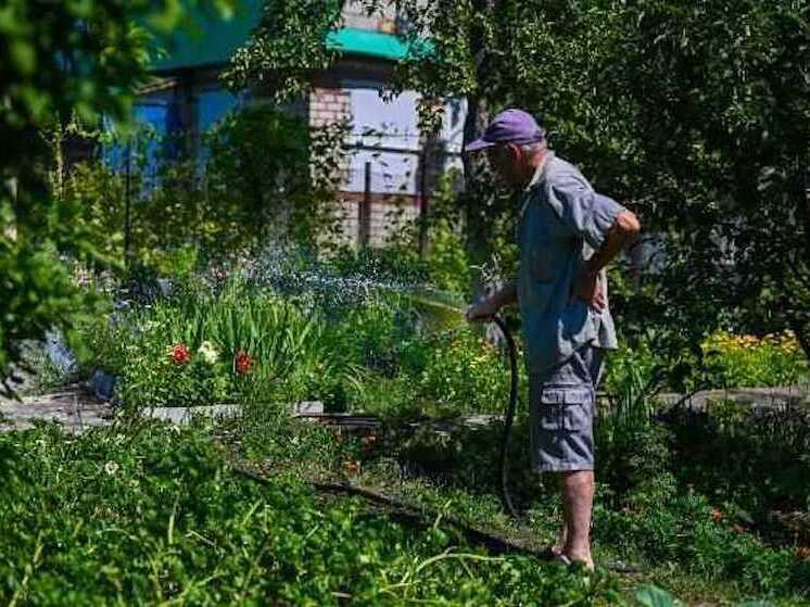 В челябинских СНТ вводятся новые правила использования построек