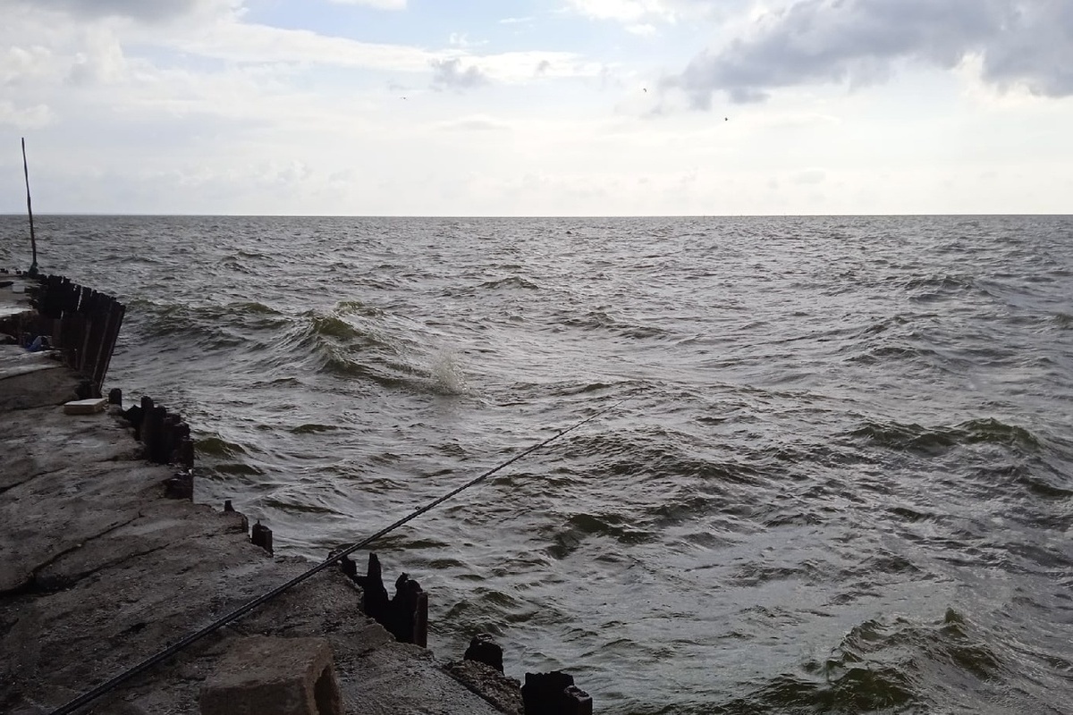 Смертельная бактерия захватила американские пляжи