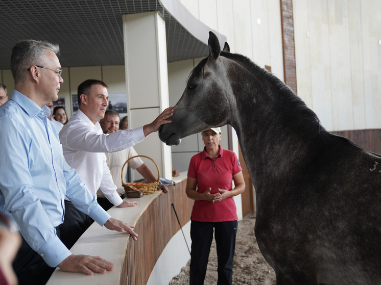 Вице-премьер России Дмитрий Патрушев ознакомился с потенциалом АПК Ставрополья