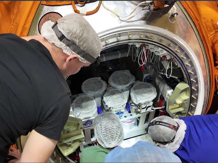 Roscosmos, fareleri 30 gün boyunca uzaya gönderdi
