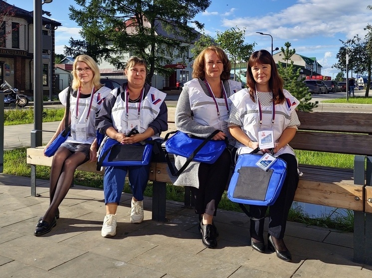 Обходчики УИК не будут агитировать новгородцев и не отнимут у них много времени