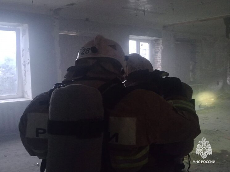 За сутки в Тульской области зафиксировали два пожара