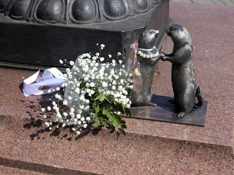 В Красноярске завершили установку бронзовых сусликов: последнюю пару разместили на площади Мира