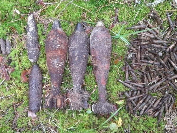 Мины и артснаряды обнаружили в двух км от калужской деревни