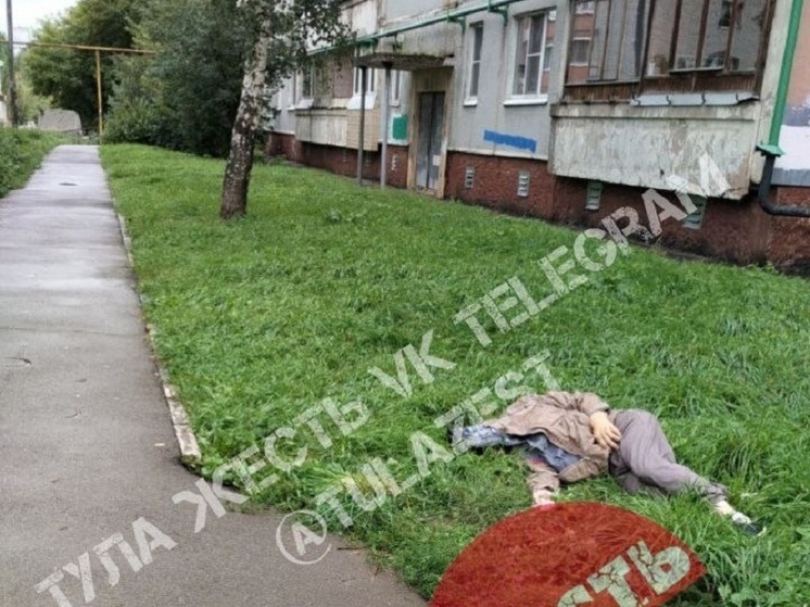 Во дворе в Зареченском районе Тулы обнаружен труп