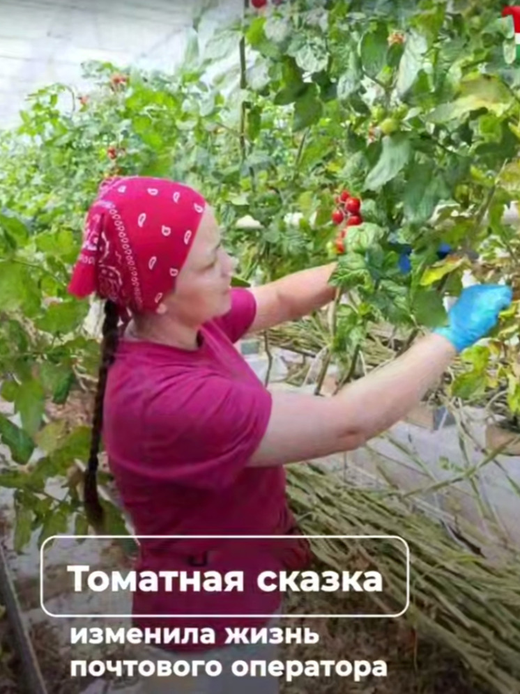 Бывший калужский почтальон поборется за звание лучшего овощевода России