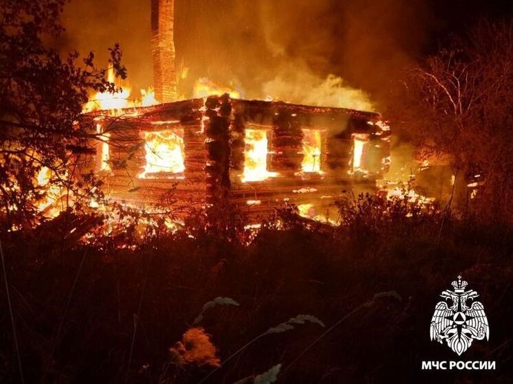 В Вологодской области произошла трагедия: в ночном пожаре погиб мужчина