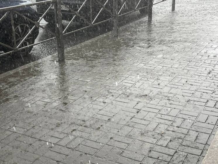 На Петербург обрушатся грозы и ливни днем 23 августа