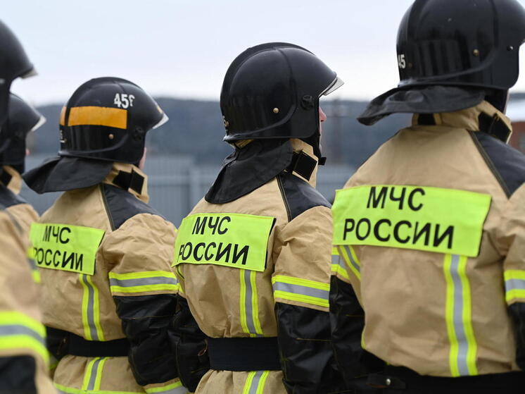 Крупный пожар охватил поселок под Челябинском
