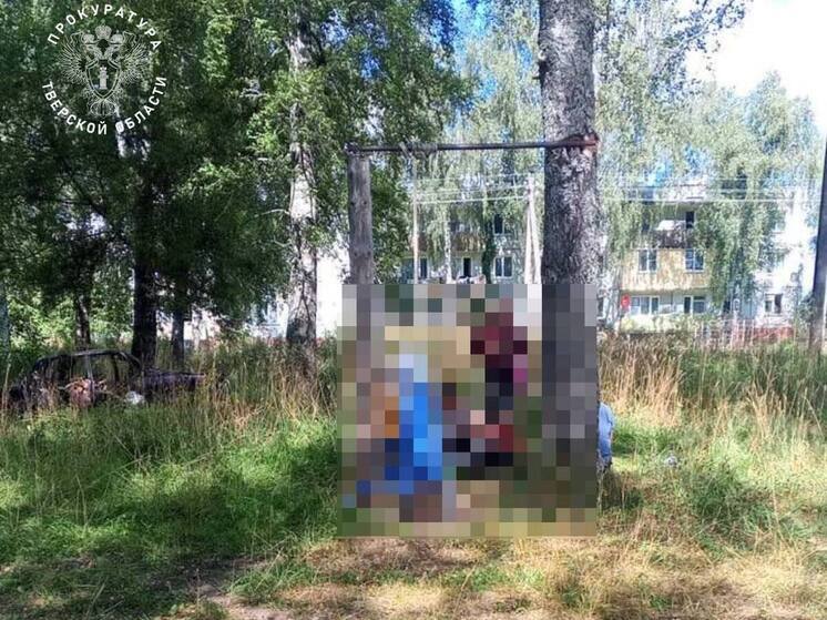 В Тверской области семилетний мальчик погиб, качаясь на качелях