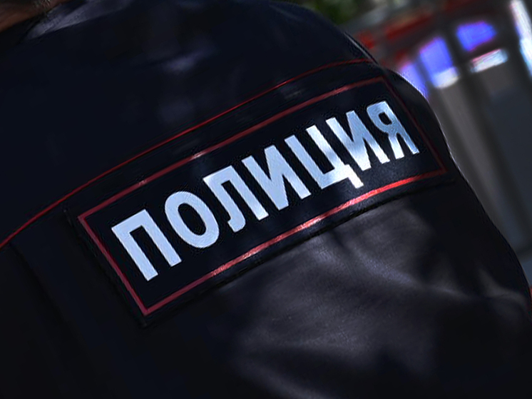 В Магнитогорске поймали воришку телефонов у пенсионеров
