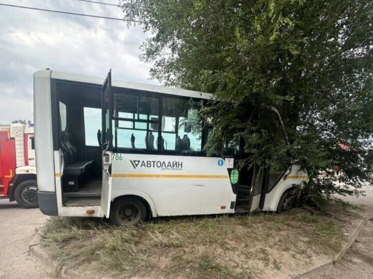 Пьяный водитель маршрутки протаранил дерево в Воронеже
