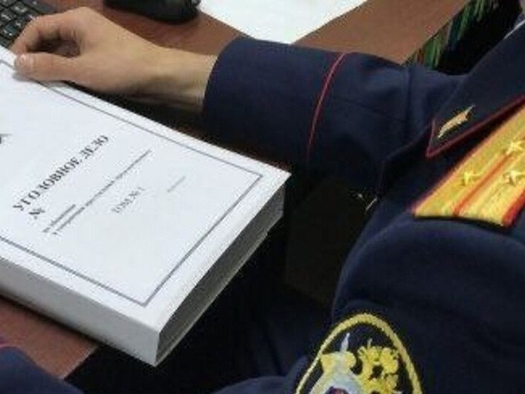 Глава СКР поручил возбудить уголовное дело о нападении на сотрудника МЧС России