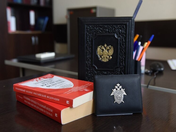 Гендиректор одной из компаний Владикавказа ответит за неуплату более 4,8 млн рублей налогов