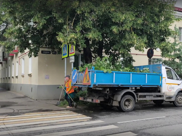 В Великом Новгороде обнажат спрятанные за кустами дорожные знаки