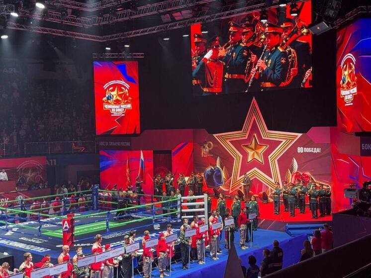 Кубанцы завоевали 4 медали на Чемпионате России по боксу