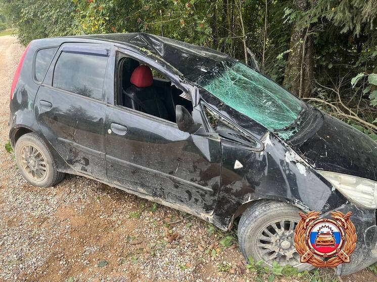 В Тверской области автомобиль вылетел с дороги и опрокинулся