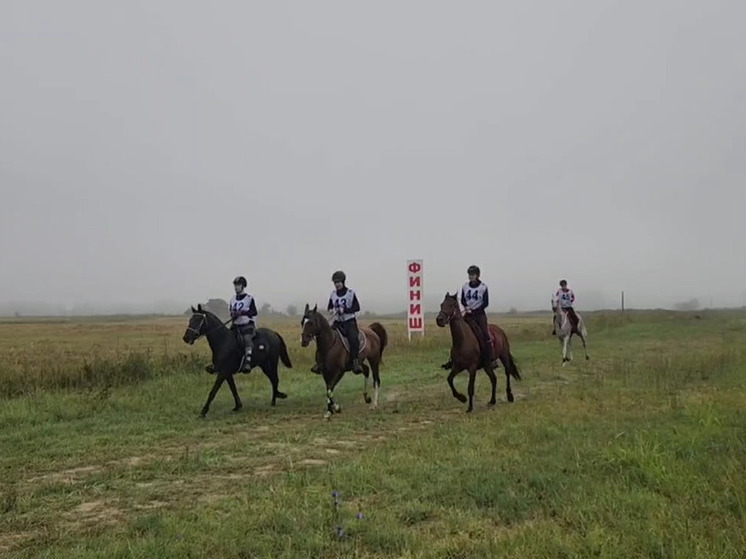 В КБР подвели итоги конноспортивных соревнований