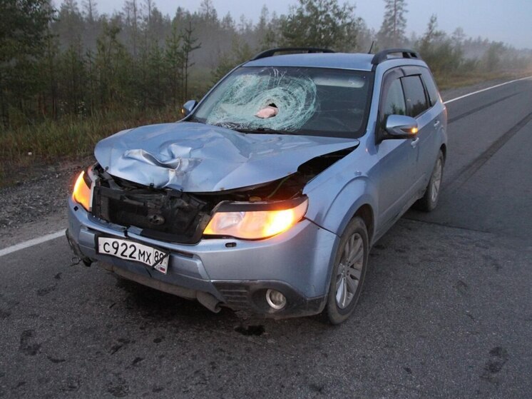 Иномарка насмерть сбила человека в ЯНАО