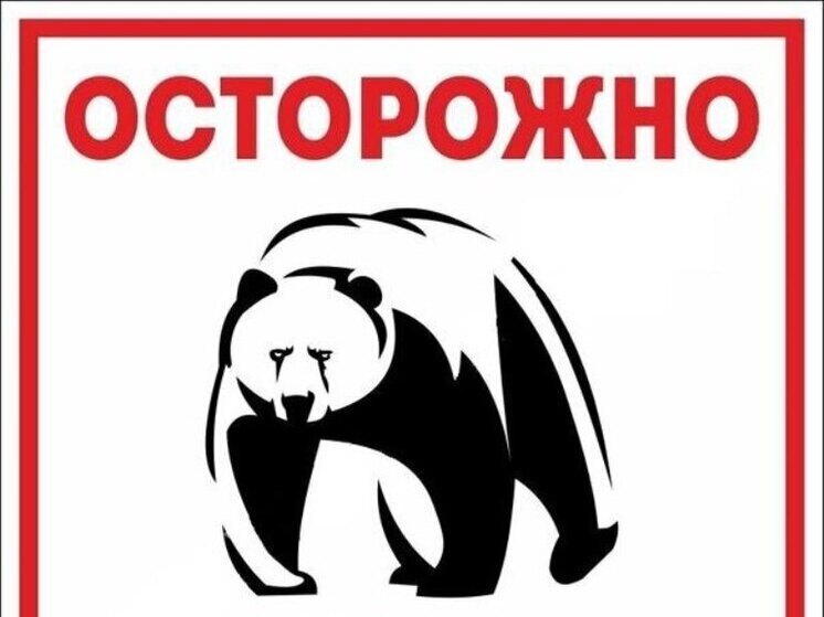 Сразу три медведя вышли к мосту в Надымском районе