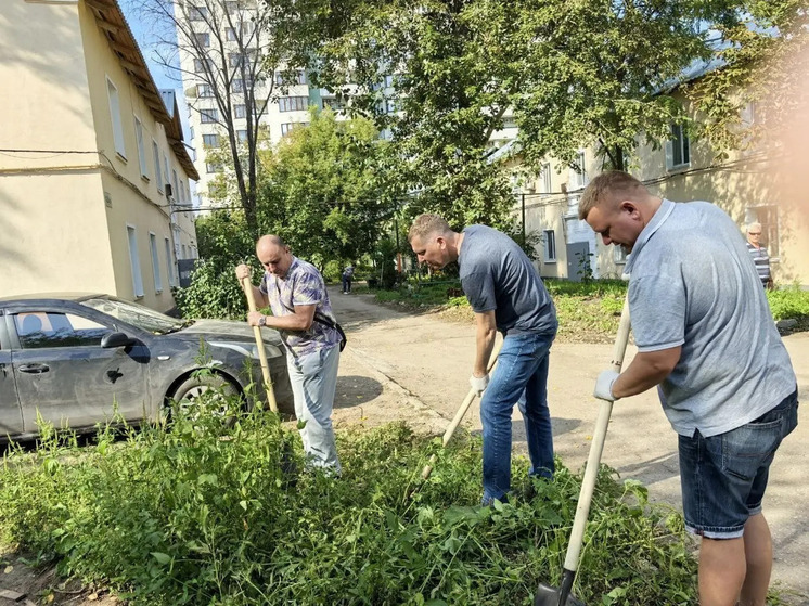 В городе Самара, славном своими волжскими просторами и строительными кранами, продолжается масштабная операция по наведению порядка — не в бухгалтериях, нет, а в самых что ни на есть жилых дворах, парках и на пустырях