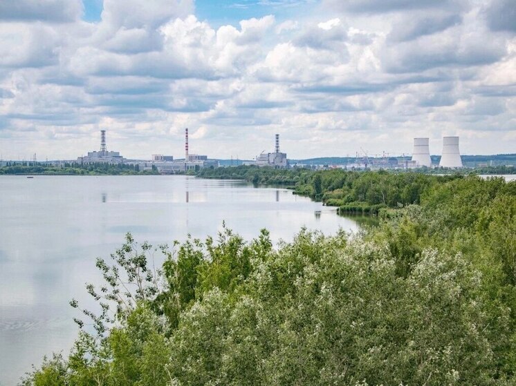Возле Курской АЭС начался пожар после сбития дрона ВСУ