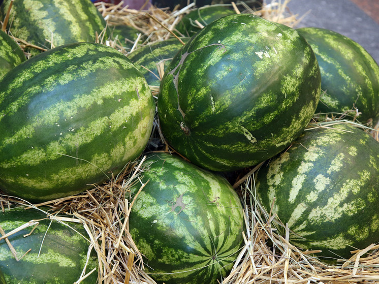 Россия через два года возобновила импорт арбузов из Грузии