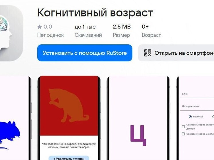 Нижегородские учёные создали калькулятор когнитивного возраста