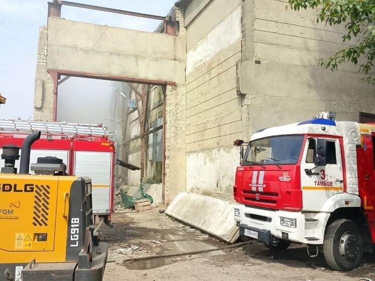 В Тамбовской области за сутки ликвидировали четыре пожара
