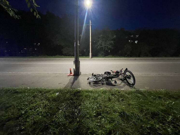 В Абакане электровелосипедист проверил на прочность опору ЛЭП