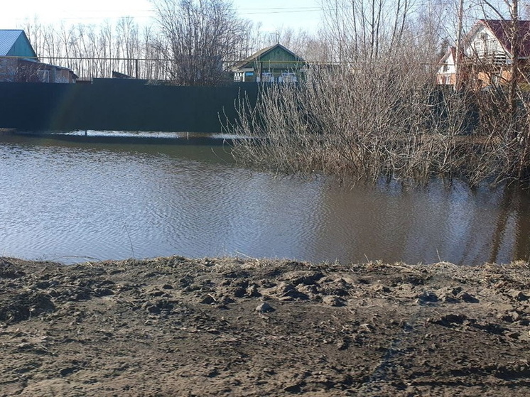 В Омской области вода «зашла в дома»: подтоплены десятки домов и сотни участков