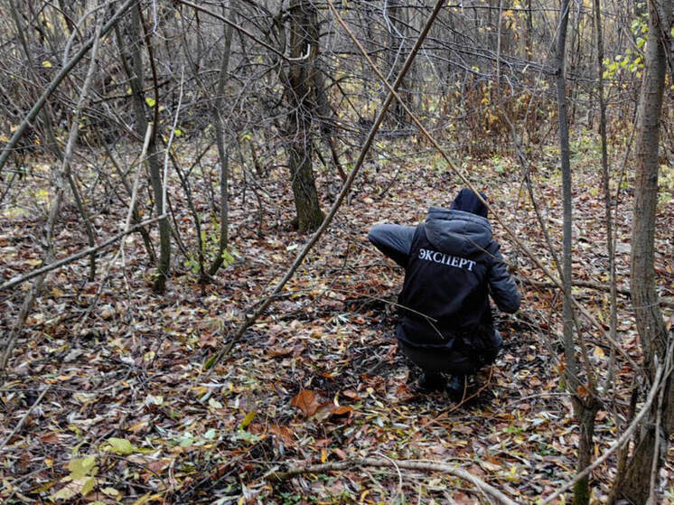 В Алатыре задержали троих за попытку сбыта метадона через закладки