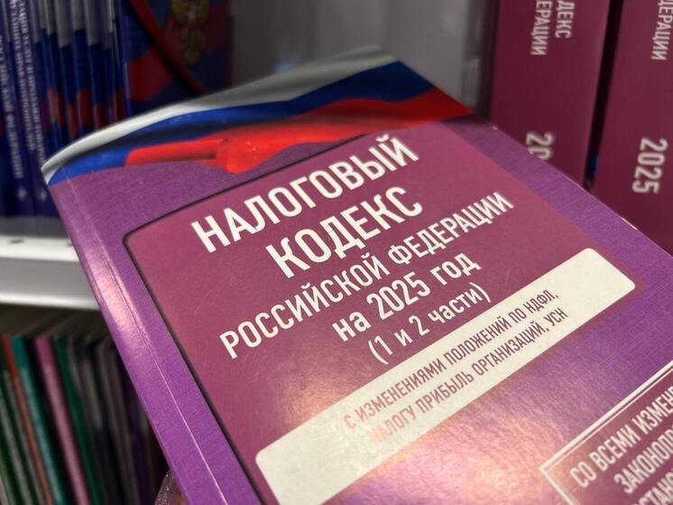 Попытка гендиректора мурманской компании скрыть миллионы от налогов обернулась штрафом