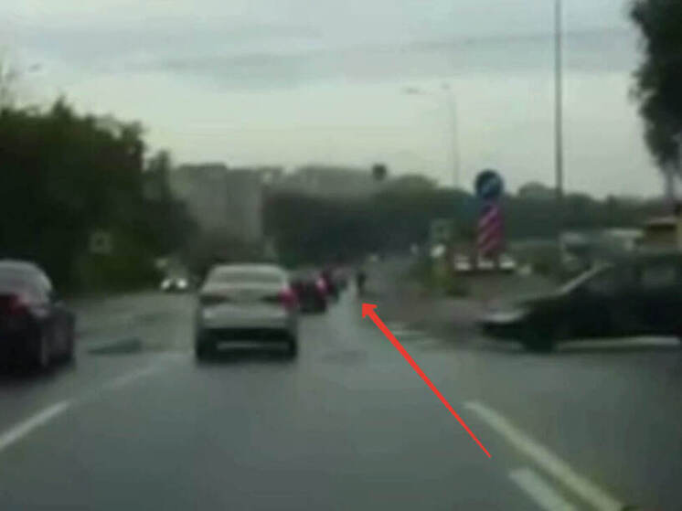 Пешеход получил травмы в Чебоксарах при наезде на «зебре» в Чебоксарах