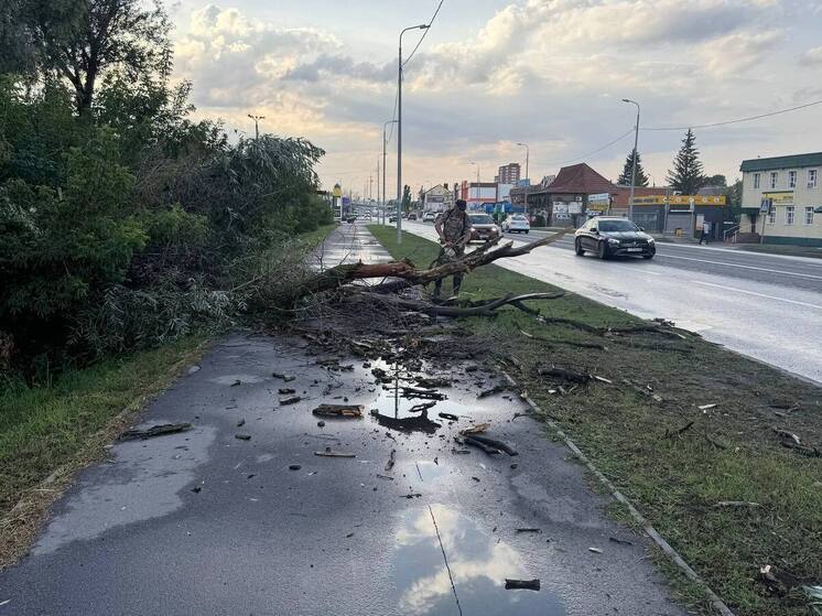 Пензенские дорожные службы устраняют последствия непогоды