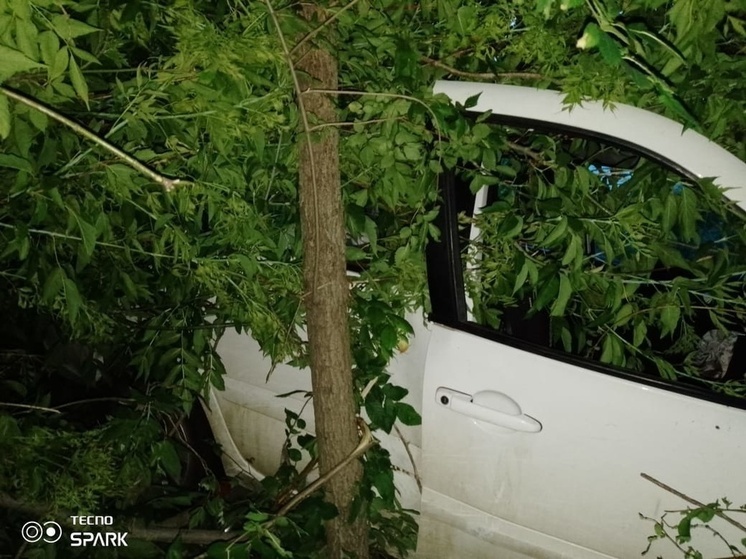 В Россошанском районе Воронежской области легковой автомобиль съехал в кювет