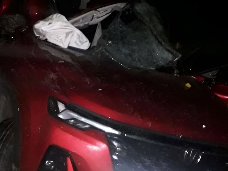 Пассажирка погибла в ночной аварии в Россошанском районе