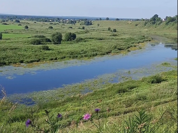 Кувшинки и лебеди: раскрыты тайны калужского озера