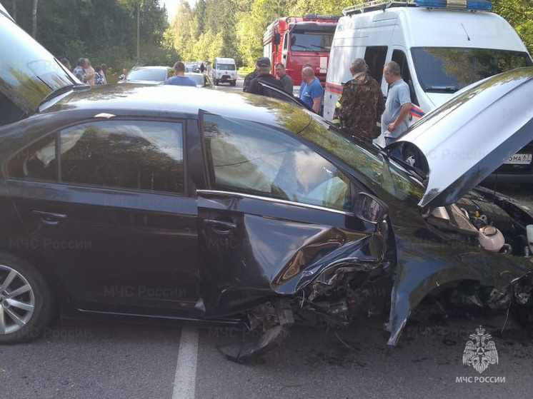 В Десногорске на дороге в Кукуевку перевернулась легковушка