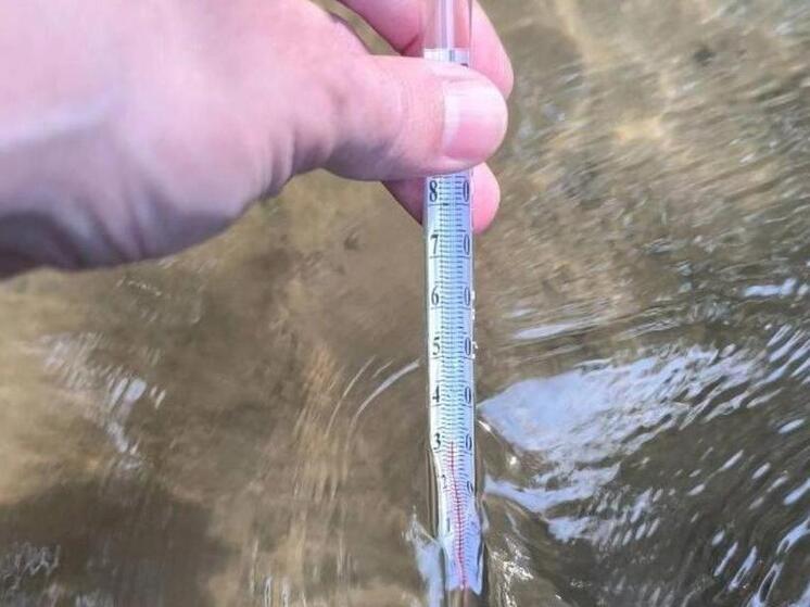 В Новосибирске вода в реке Чербузы прогрелась до 57 градусов