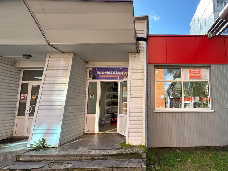 В Пскове нашли четыре самовольно размещенные вывески