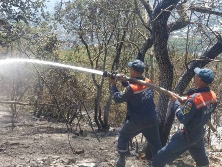 Огнеборцы Пятигорска справились с пожаром на горе Машук
