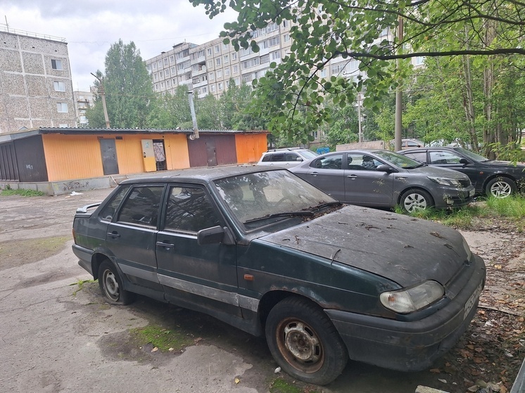 В Мончегорске разыскивают владельцев брошенных машин