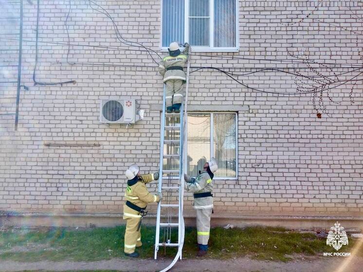Пожарные Ставрополья провели пожарно-тактические занятия в районной больнице