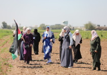 Израильские власти с применением бульдозеров выкорчевали сотни деревьев в палестинской деревне Аль-Мугхайир на Западном берегу реки Иордан