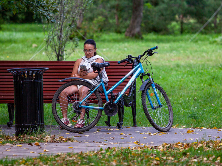 Минцифры и Роскомнадзор разработают меры по ограничению вредоносной информации в Сети