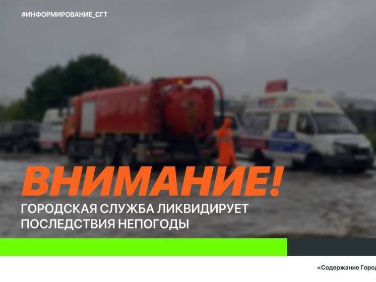 94 единицы спецтехники работают во Владивостоке на ликвидации последствий непогоды