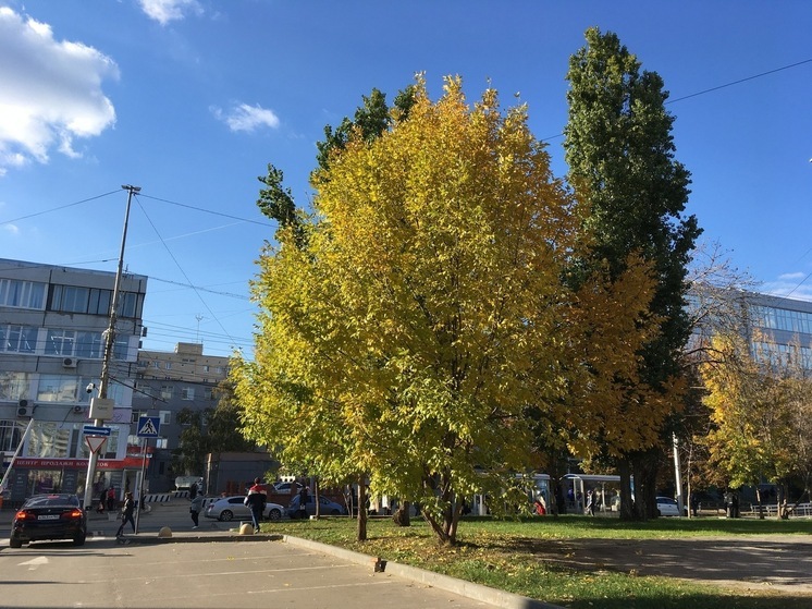 Саратовцев ждёт солнечный день, но немного покапает дождь