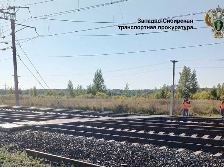 85-летнюю женщину насмерть сбил поезд под Новосибирском
