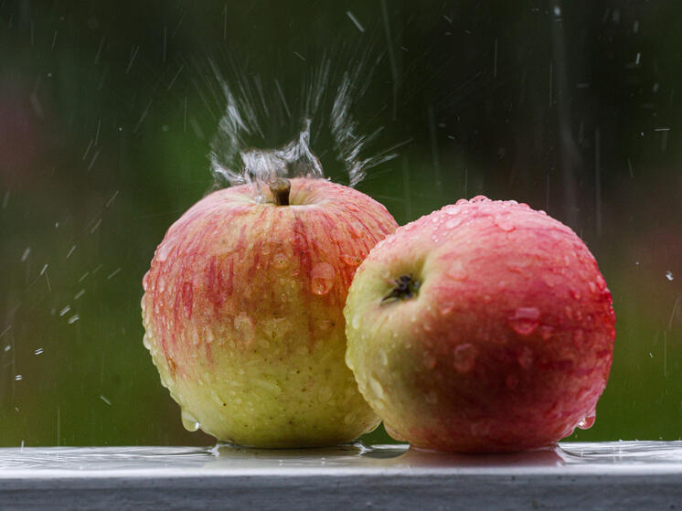 Народные приметы: как предсказать погоду 25 августа 2025 года